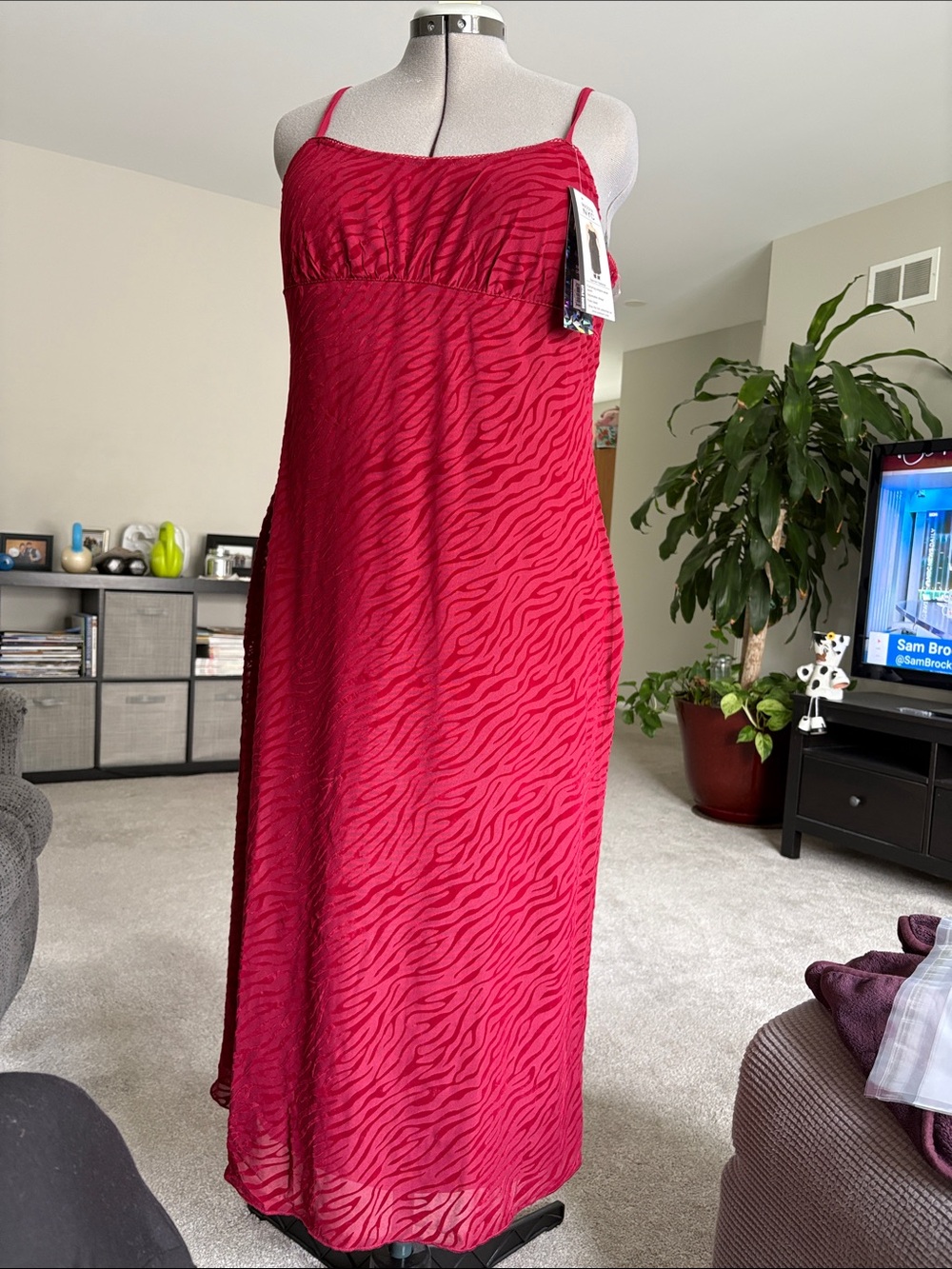 Red Zebra-Print Spaghetti Strap Maxi Dress